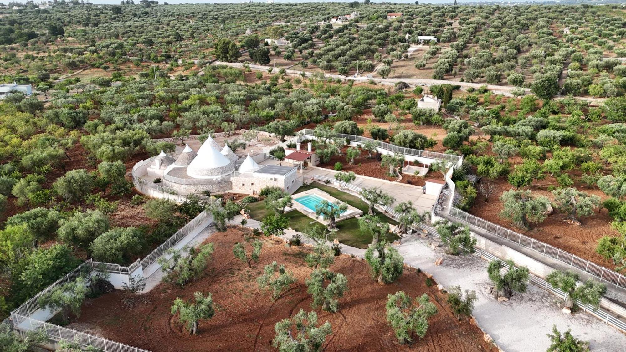 Trulli Lisanna - Apulian Hideaway With Pool Apartment Antonelli Ngoại thất bức ảnh